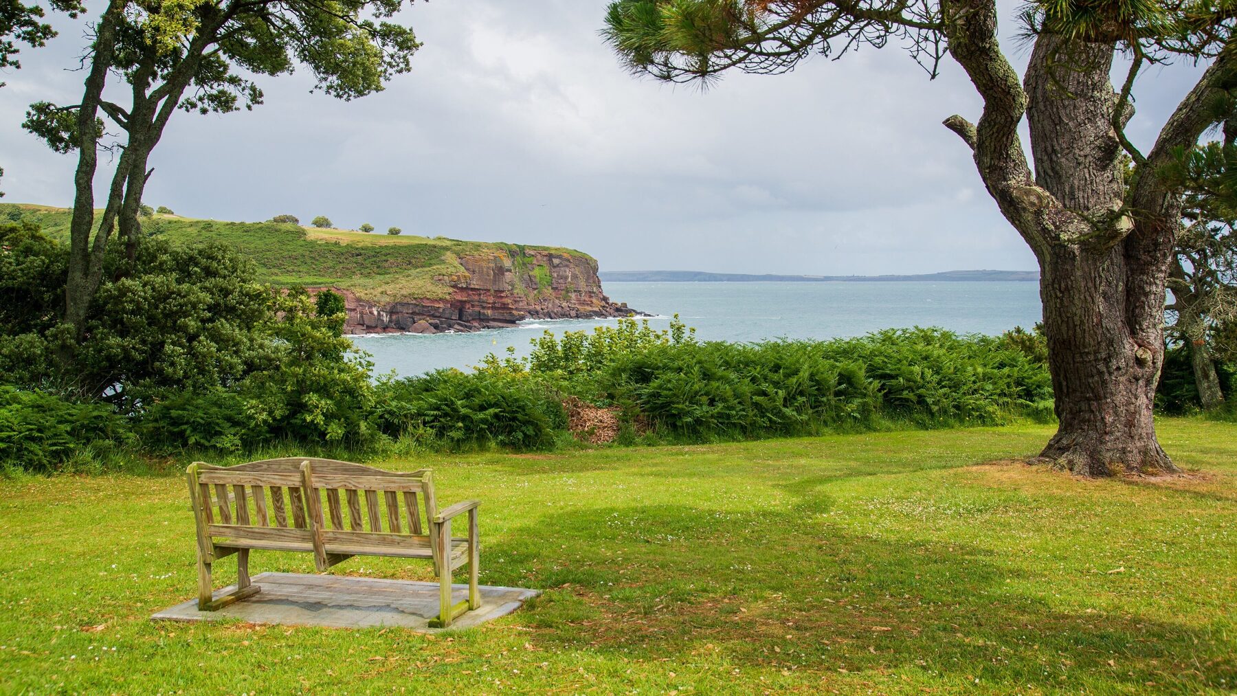 A bench beneath a mature tree in Dunmore East Park, overlooking the sea